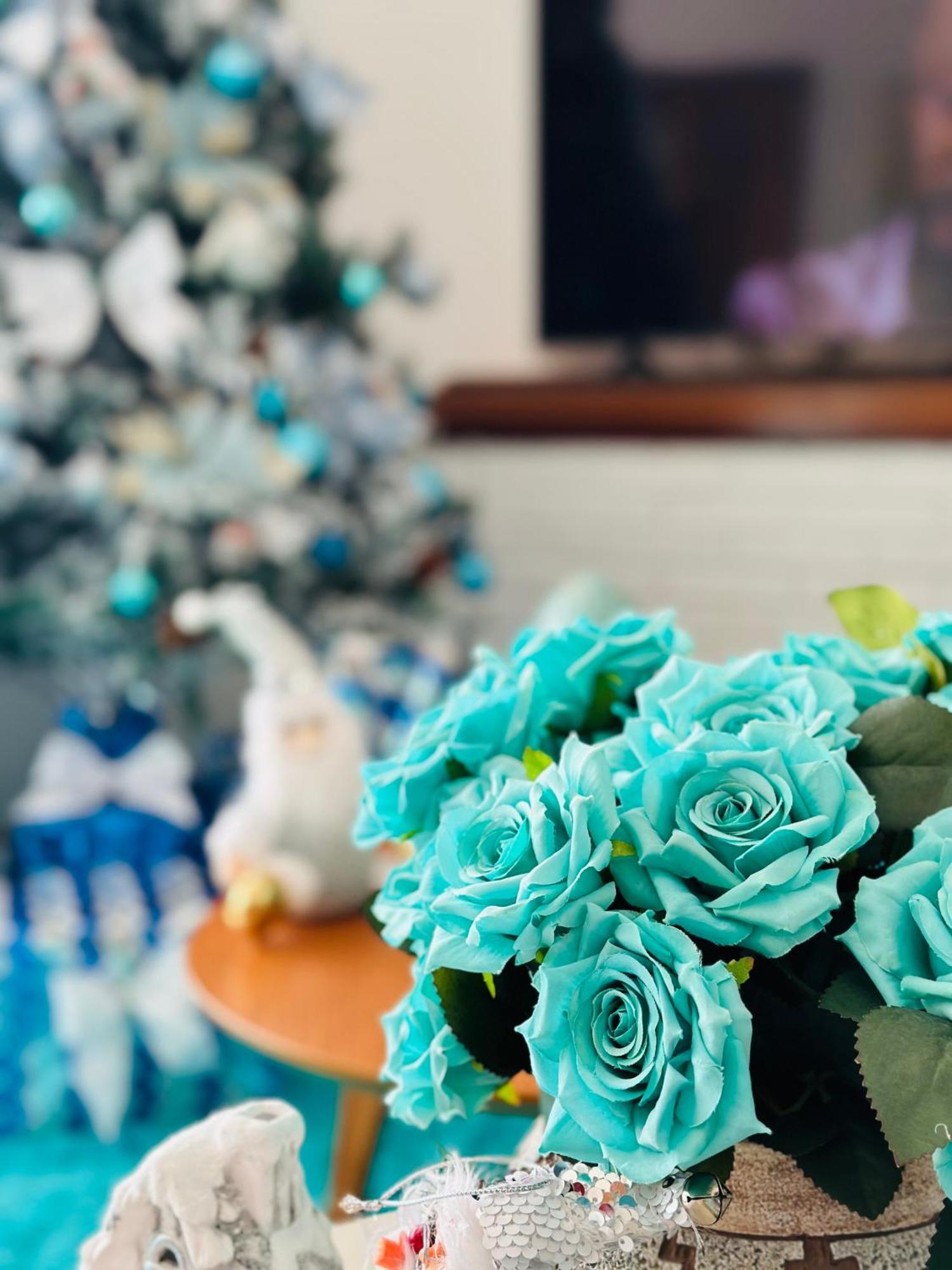 Boutique Blue Village